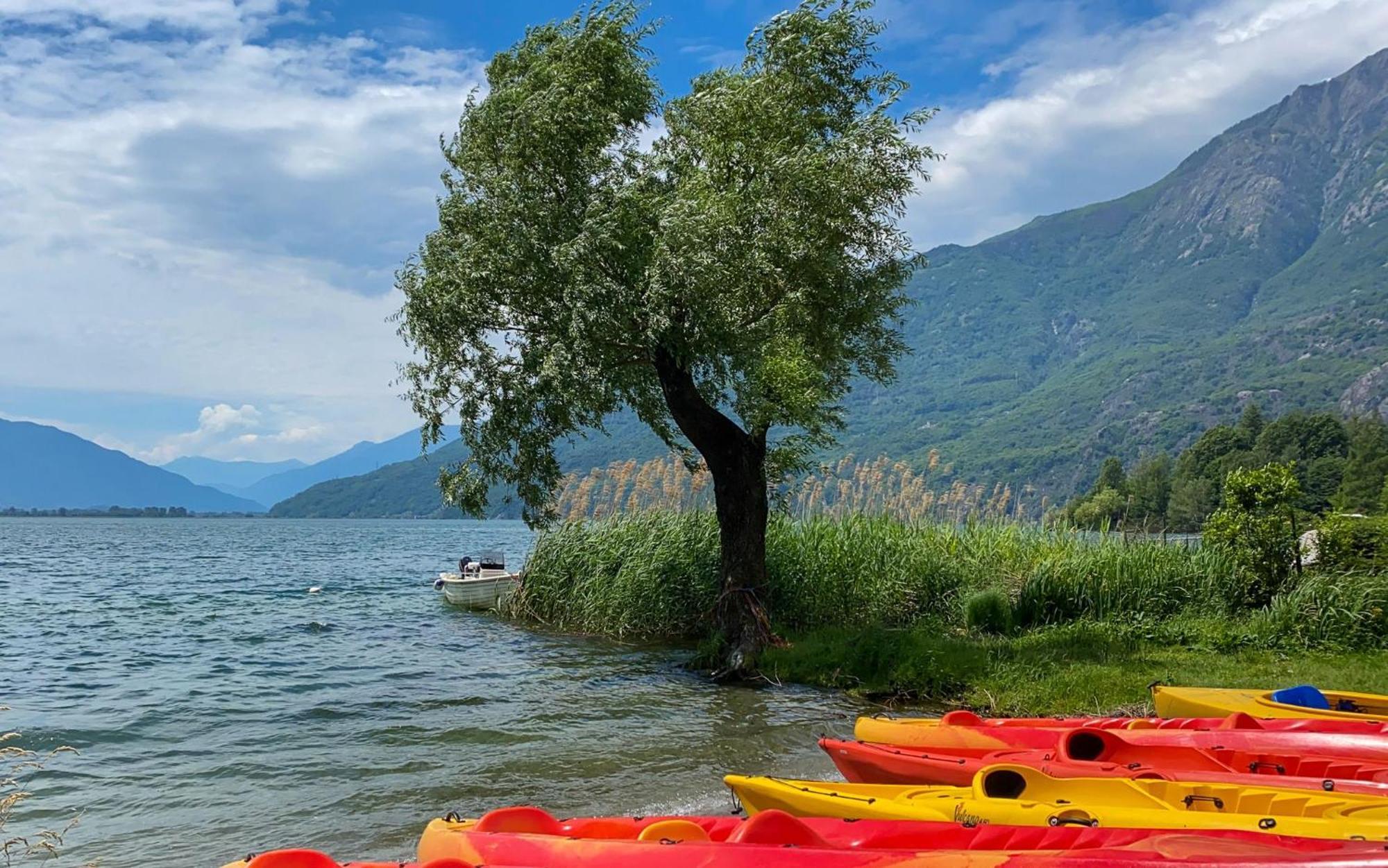 Dascio Emotion Ferienwohnung Mit Terrasse Am See Eksteriør bilde
